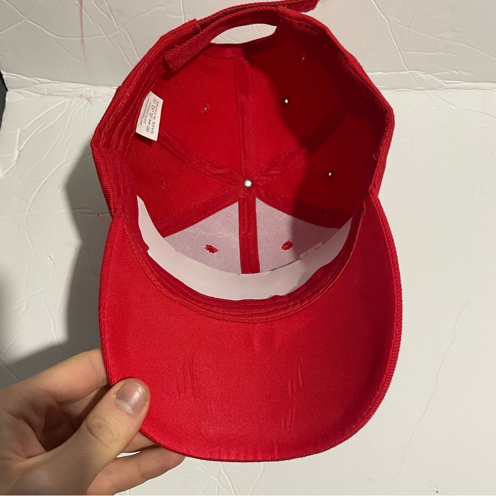 DONALD TRUMP 2020 RED HAT Embroidered Red White and Blue Keep America Great - Picture 3 of 4